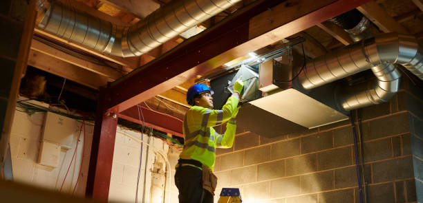 Best Residential Air Duct Cleaning  in Mogul, NV