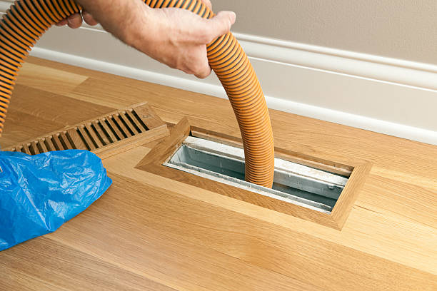 Best Air Duct Mold Removal  in Mogul, NV
