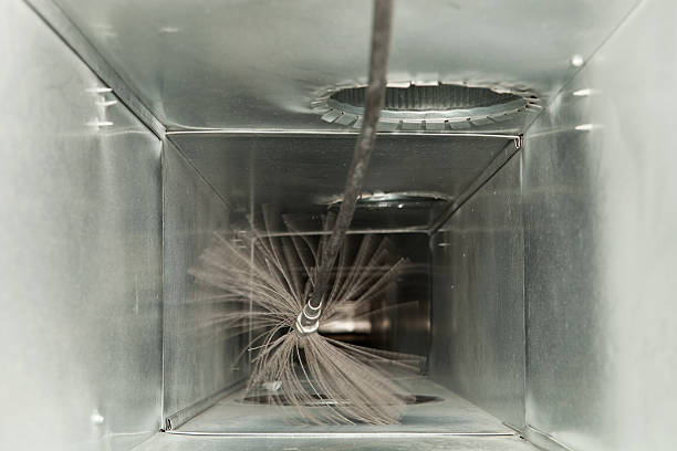 Air Duct Mold Removal in Mogul, NV